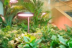 211_2025-01-02_Richter_Zoboki_LAB5_008_Domolky_Daniel