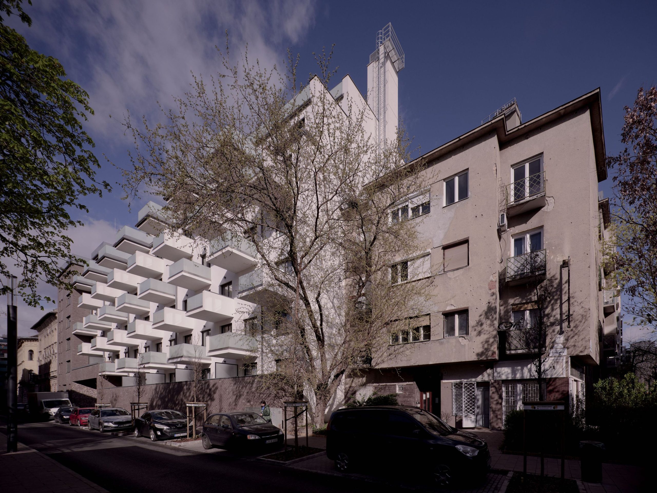 152 cordia 122b