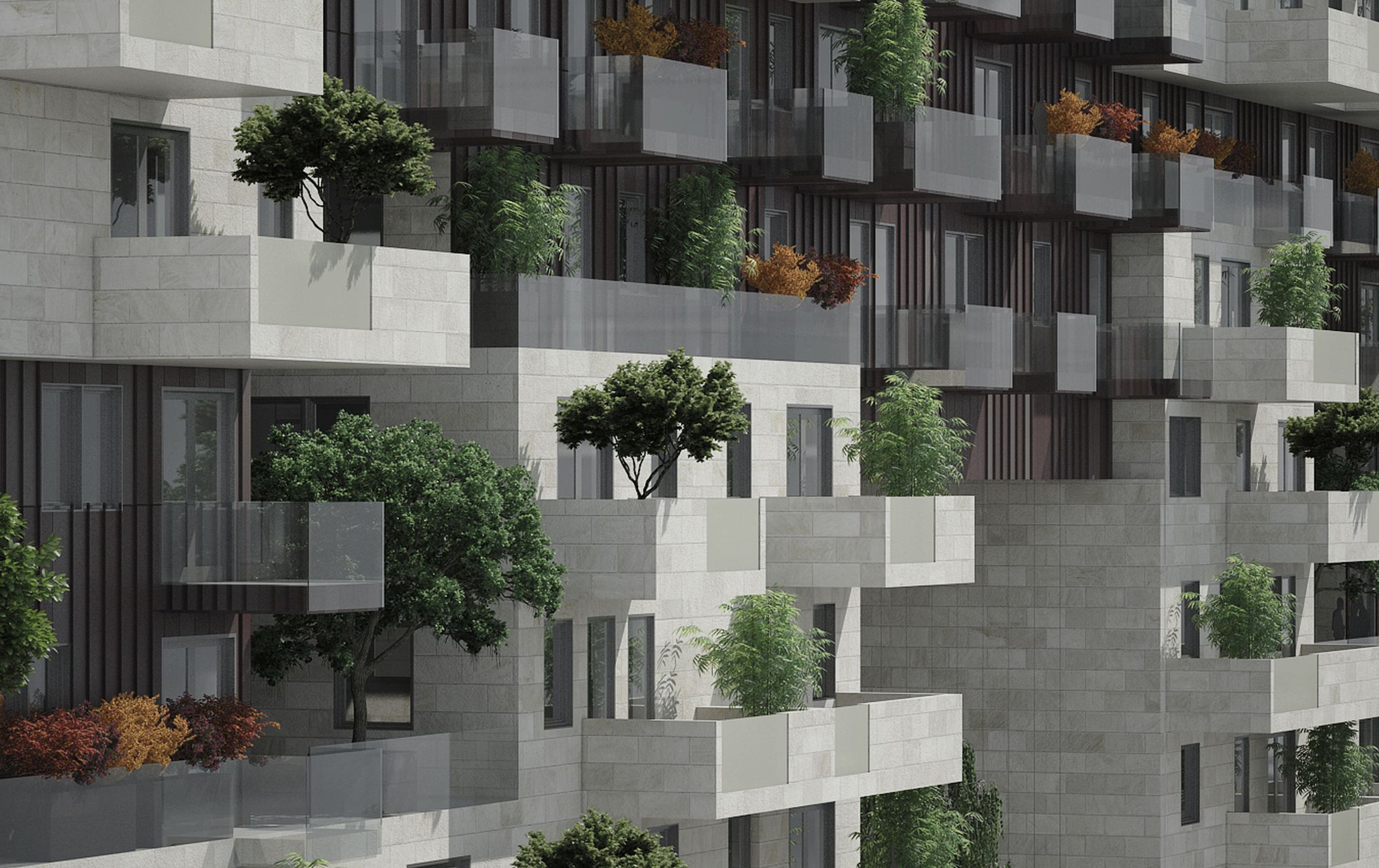 118 cordia
