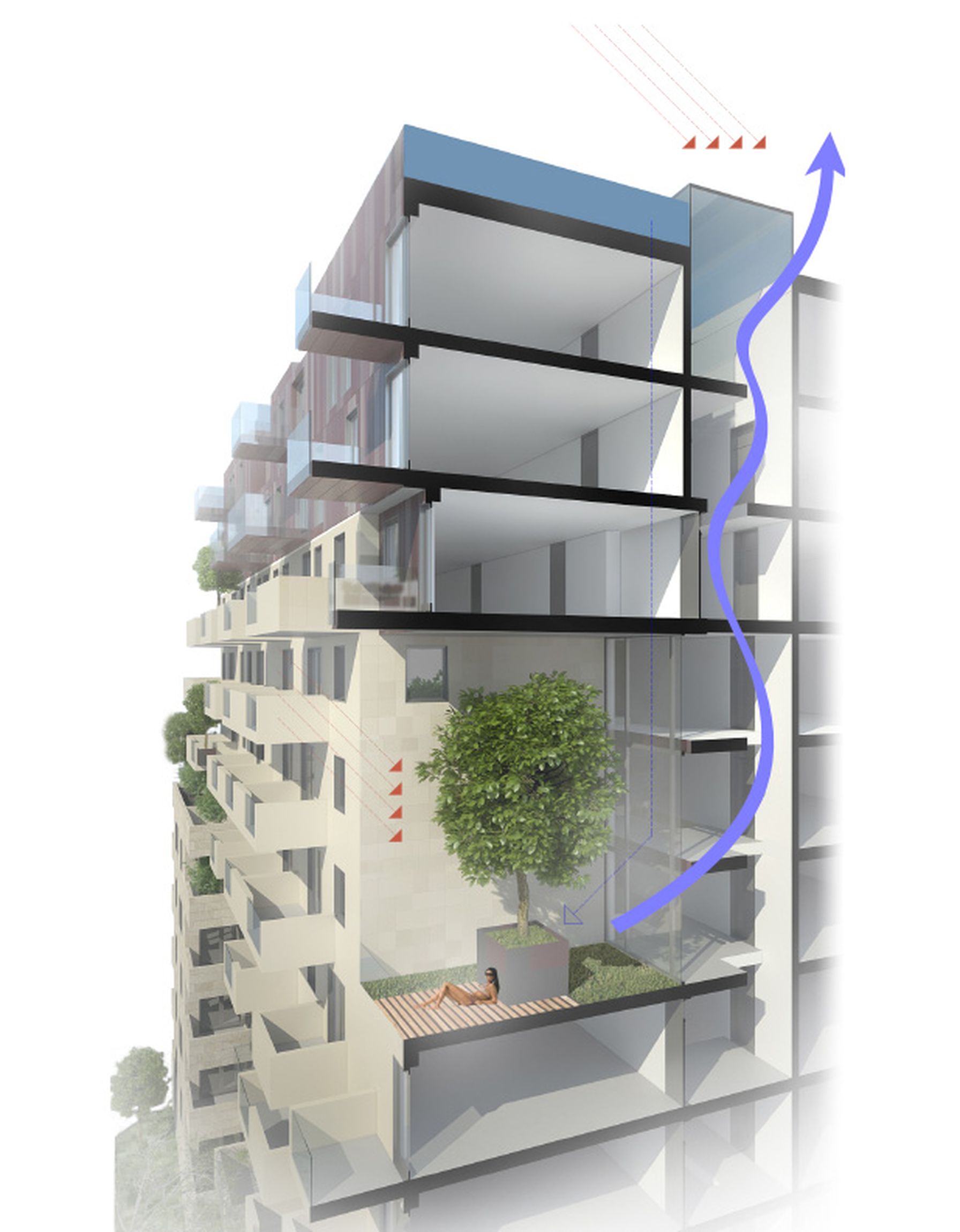 118 cordia