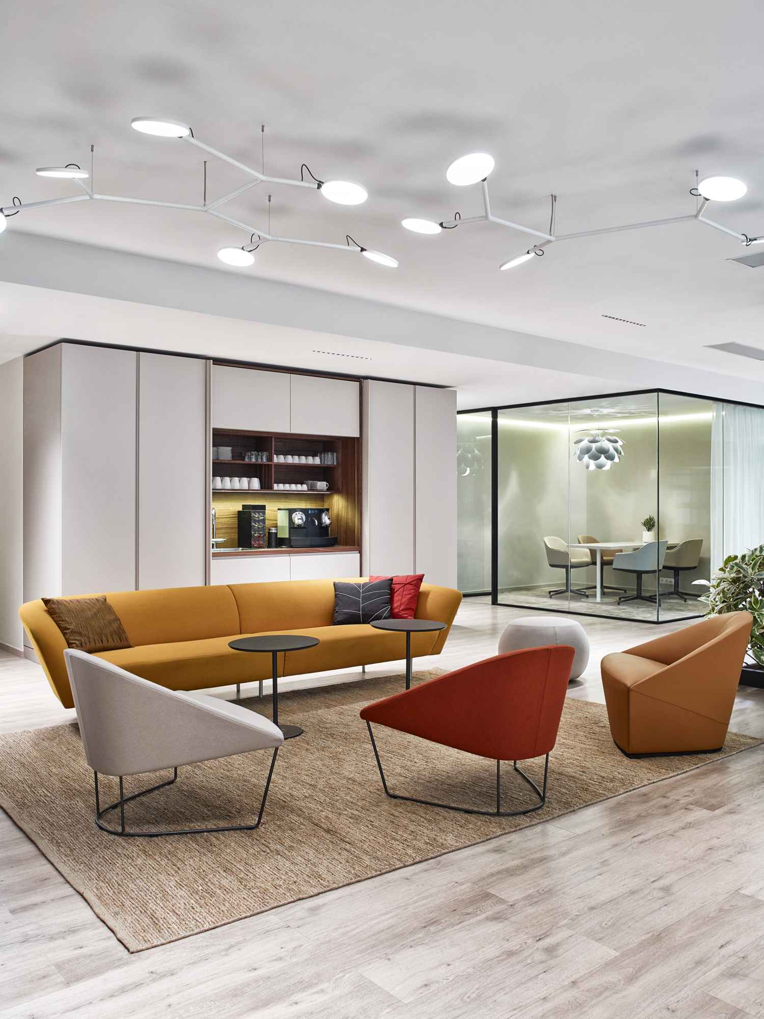 146 cordia office