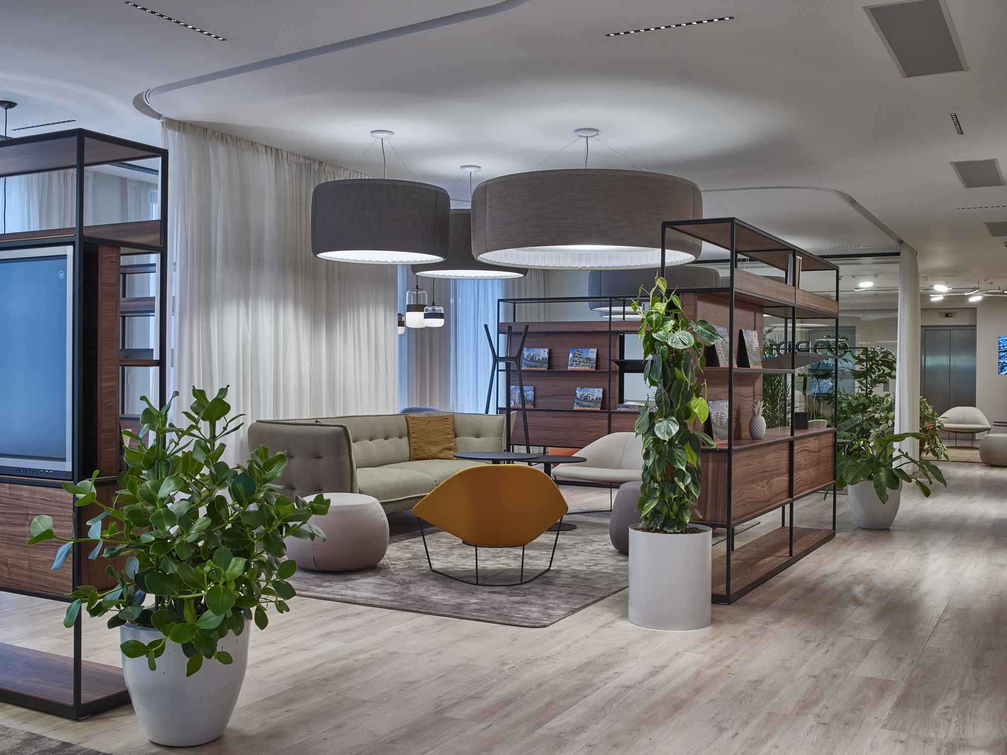146 cordia office