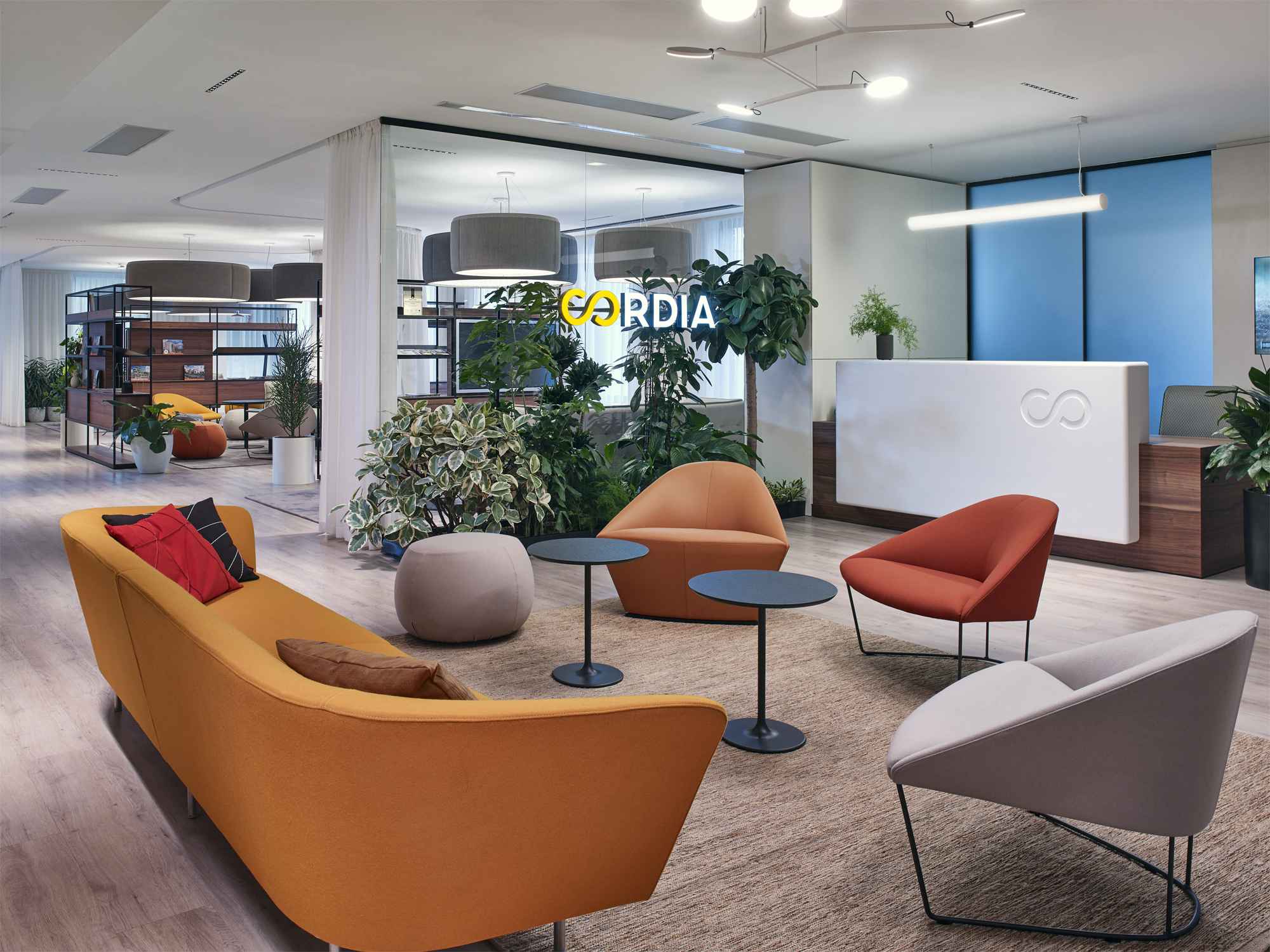 146 cordia office
