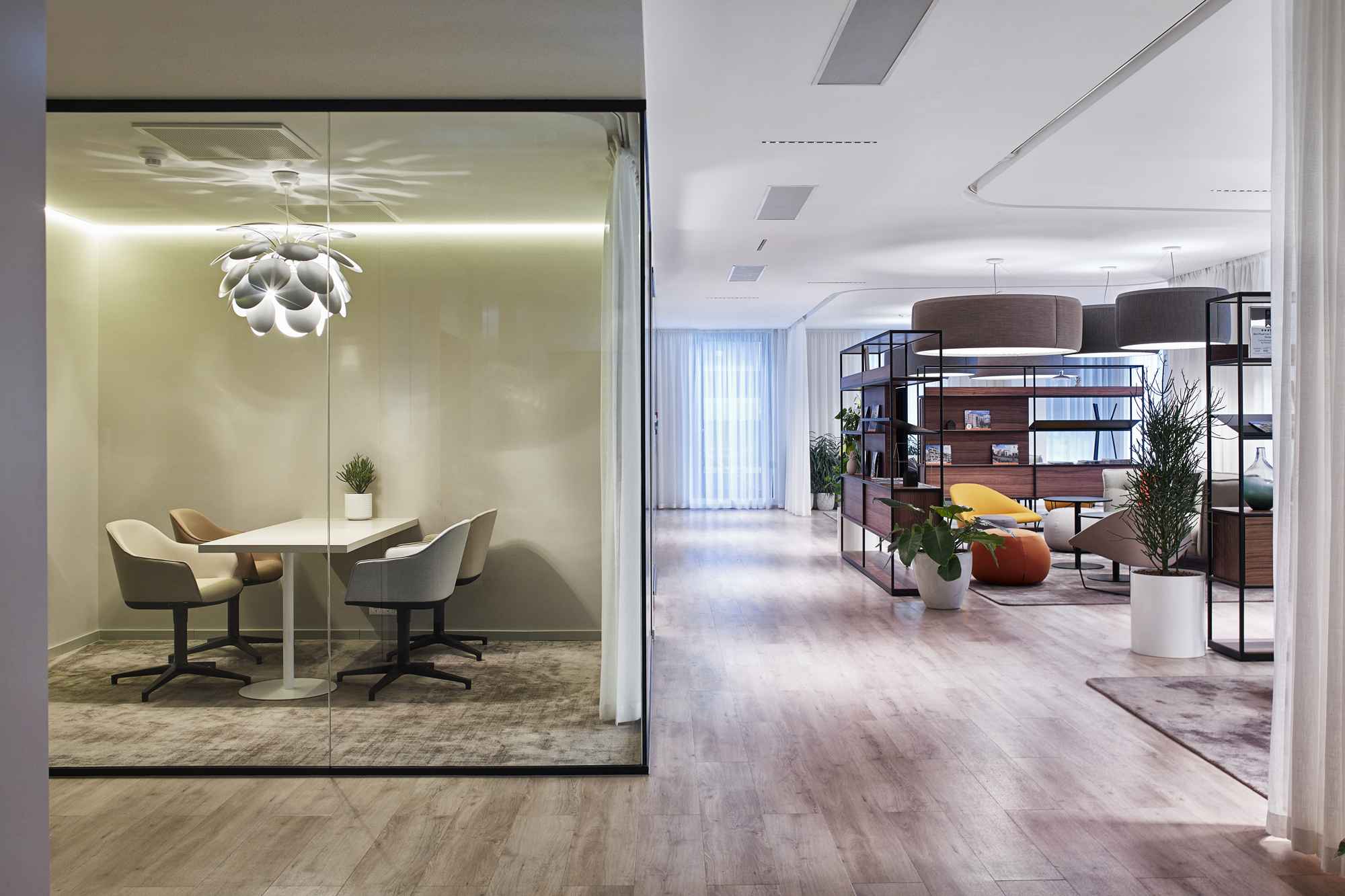 146 cordia office