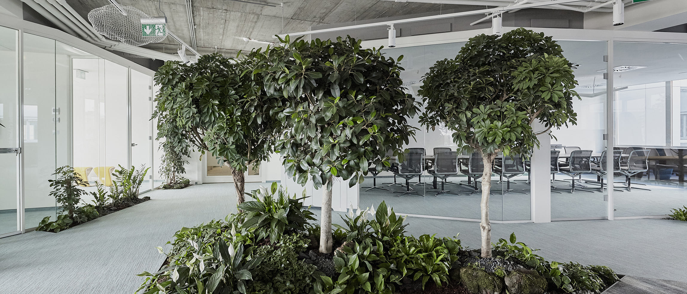 154 skanska hq