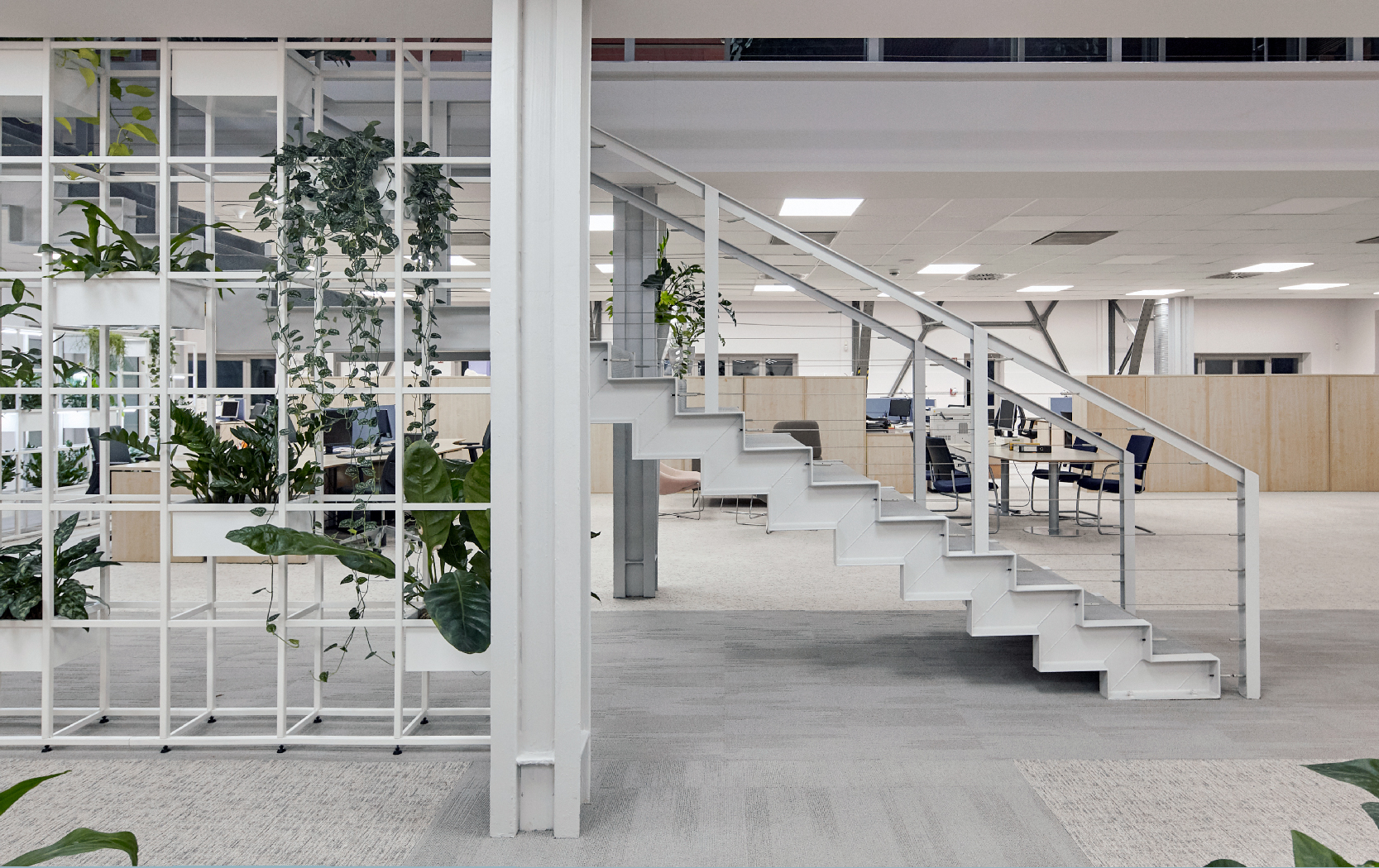 165 wing office